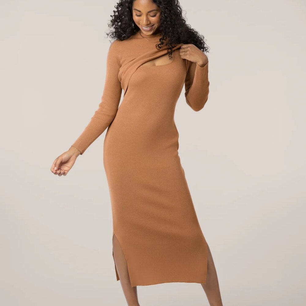2-in-1 Maternity & Nursing Midi Dress Kindred Bravely